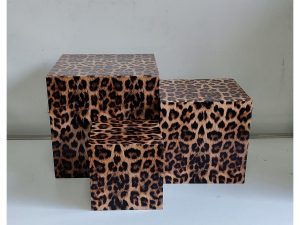 Tiger Print Riser