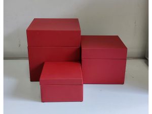Red Riser