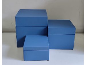 Blue Riser
