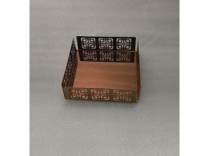 Lazer Cut Tissue Tray R G