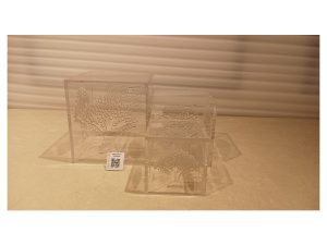 Acrylic Tree Riser Transparent