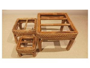 Cane Leg Riser