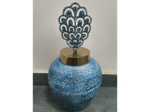 Blue Peacock Lid Curv Display