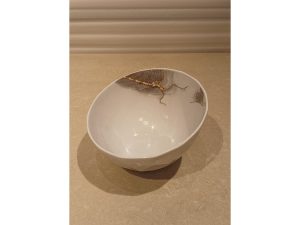 Prime Slant Bowl Small 8.25 – HMSP0006
